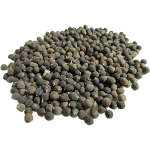 Lokman Aktar   Bamya Tohumu 100 gr