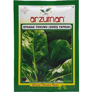 Geniş Yapraklı Ispanak Tohumu 25 Gram