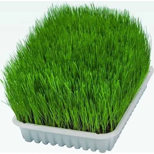 Bahçe Life Doğal Kedi̇ Çi̇mi̇