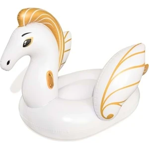 41118 Bi̇ni̇ci̇ Pegasus Si̇mi̇t