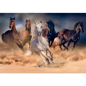 Nova Puzzle 2000 Parça Toz Duman Koşan Atlar Puzzle - 46002