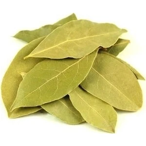 Lokman Aktar   Defne Yaprağı 100 gr