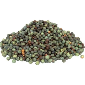 Lokman Aktar   Menengiç (Çitlenbik,Çıtlık,Çedene,Bıttım) Tane 100 gr