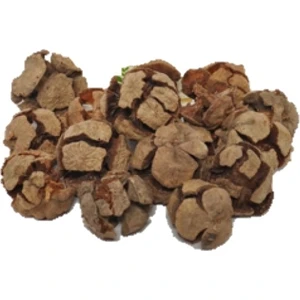 Lokman Aktar   Selvi Kozalağı 50 gr