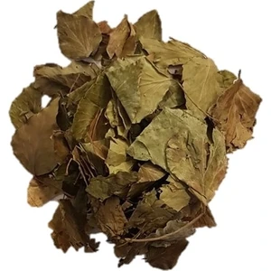 Lokman Aktar   Sarmaşık Otu Hedera Semen 50 gr