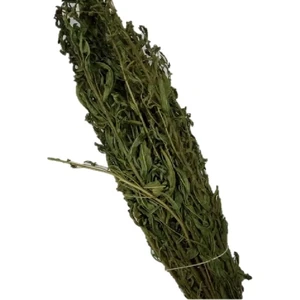 Lokman Aktar  Yapışka Andız Otu (21 Günlük) 150 gr