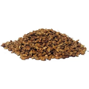 Lokman Aktar   Süpürge Otu Tohumu 50 gr