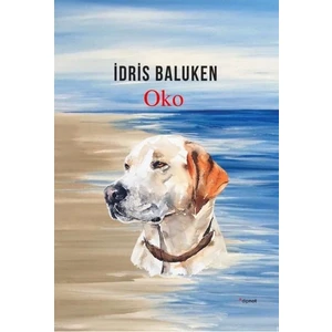 Oko - İdris Baluken