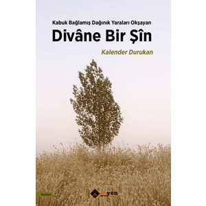 Divâne Bir Şîn - Kalender Durukan