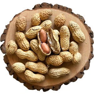 Kabuklu Fıstık 1 kg
