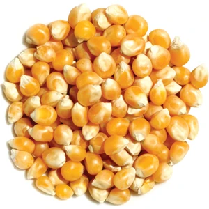 Kabakçıoğlu Yöresel Patlatmalık Mısır 1 kg