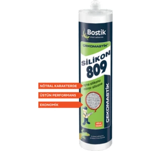 Çekomastik 809 Ayna Silikon 310 Ml