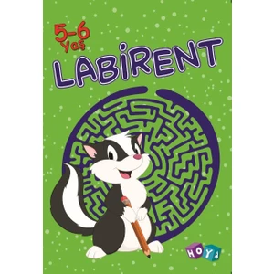 Labirent 5-6 Yaş