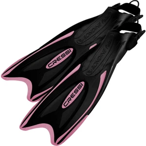 Palau Dalış Paleti