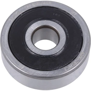 6300-2RSH/C3