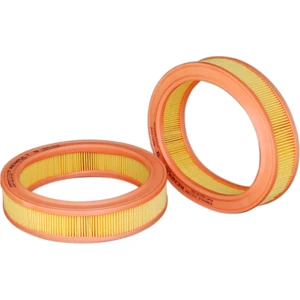 Gold Filter Hava Filtresi Renault R9-R11-R19 (1.4)