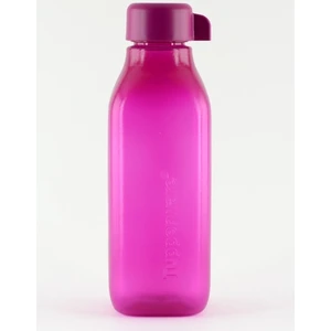 Eko Şişe 500 ml