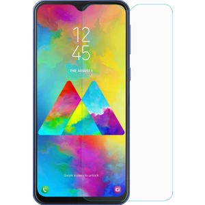 Samsung Galaxy M20 Nano Cam Ekran Koruyucu