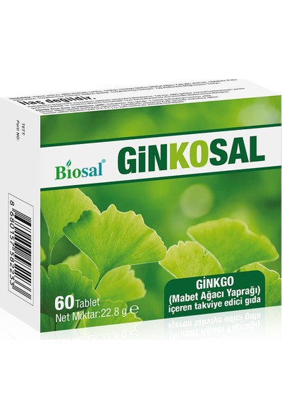 Ginkgo Biloba 60 Tablet Biosal Ginkosal