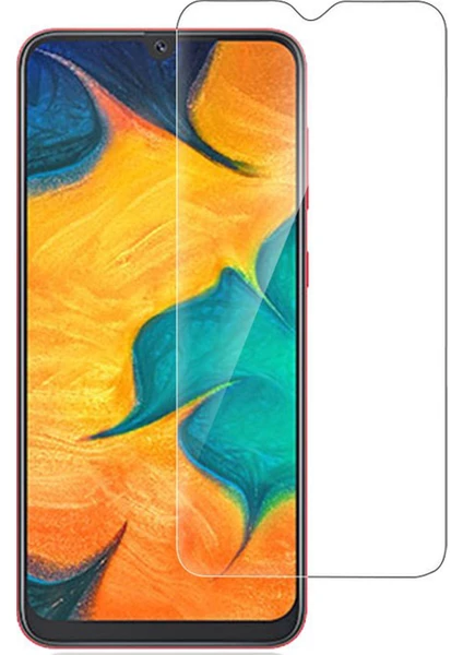 Samsung Galaxy A30 Tempered Glass Cam Koruma