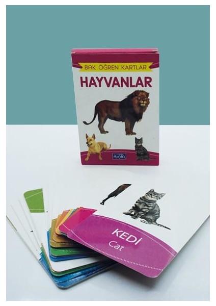 Bak Öğren Eğitici Öğretici Kartlar - 6 Çeşit