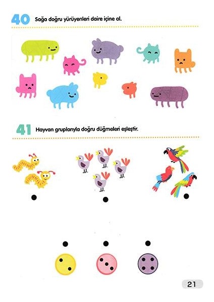 Zeka Ve Aktivite Seti fiyatları