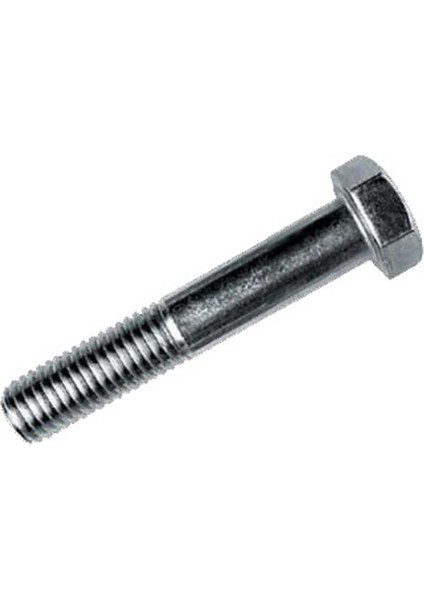 M8 x 70 mm 6 Köşe Başlı Civata 8.8 g Beyaz 50'li