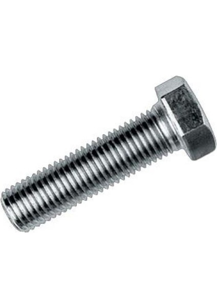 M6 x 50 mm 6 Köşe Başlı Civata 8.8 g Beyaz 100'lü