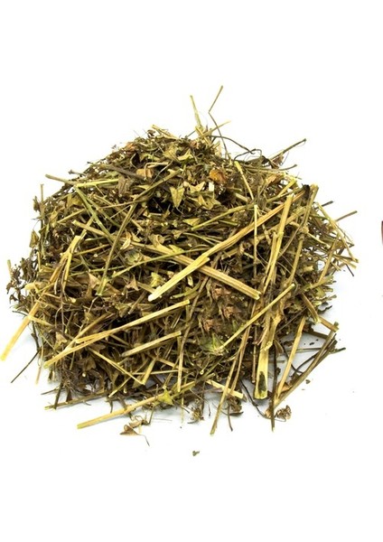 Çoban Çantası (Capsella Bursa-Pastoris) 100 gr