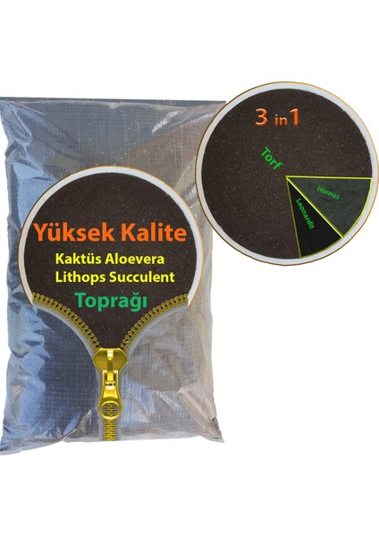 3 in 1 Kaktüs Aloevera Lithops Succulent Toprağı 10 lt