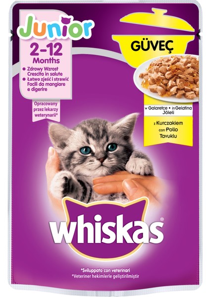 Güveç Yavru Pouch 85 gr