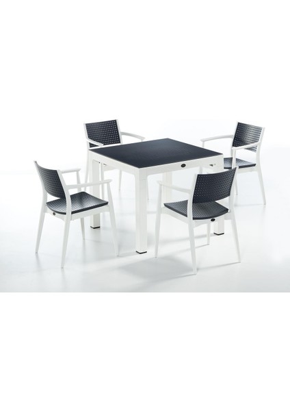 Seginus 4 Lü Camlı Set