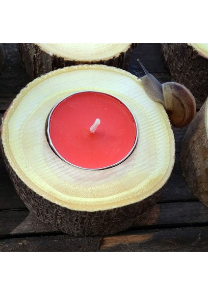 Ahşap Doğal Kütük 10lu Mumluk indirimleri