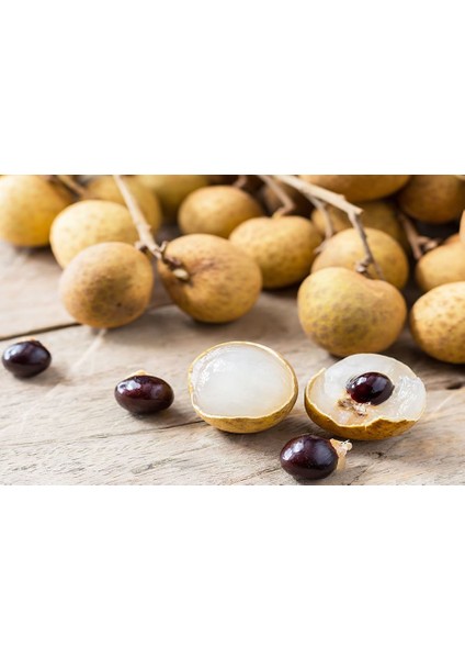 Longan Ejder Gözü Meyvesi̇ Ağaci Tohumu + Çi̇Mlendi̇Rme Seti̇