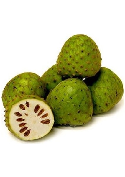 Annona Cherymoya Sugar Meyvesi̇ Tohumu + Çi̇Mlendi̇Rme Seti̇