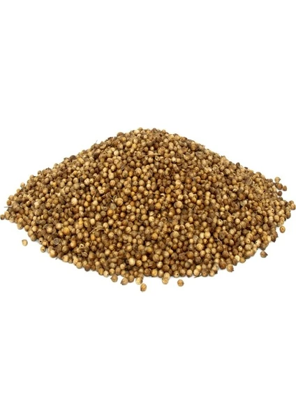 Lokman Aktar   Kişniş Tane (Kinzi) (Coriandrum Sativum) 1 kg