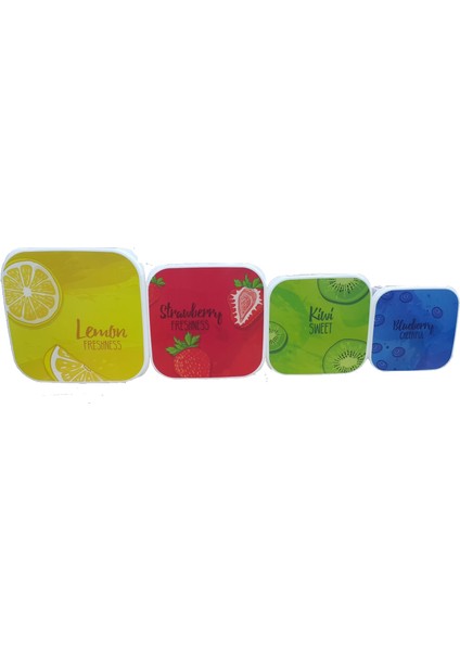 4'lü Fun Saklama Kabı