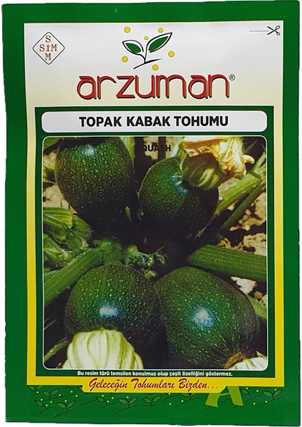 Topak Kabak Tohumu 10 Gram