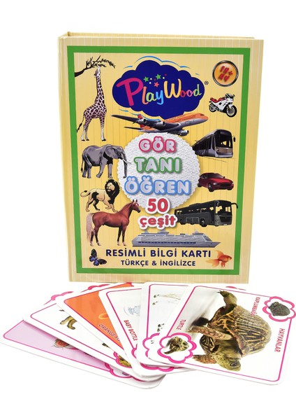 Eğitici Resimli Bilgi Kartı Gör-Tanı-Öğren