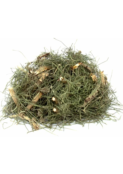 Lokman Aktar   At Kuyruğu Otu (Kırkkilit Otu) (Equisetum Arvense) 500 gr