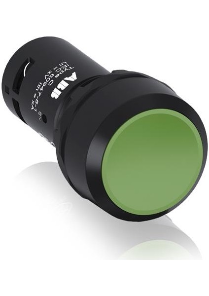 Buton CP1 10G 10 Yeşil 1no