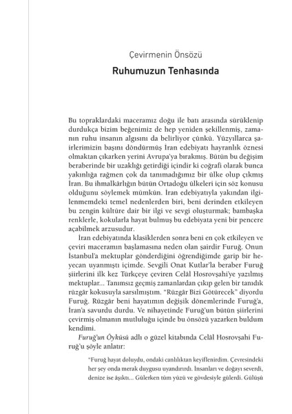 Rüzgâr Bizi Götürecek: Toplu Şiirler - Füruğ Ferruhzad fırsatları