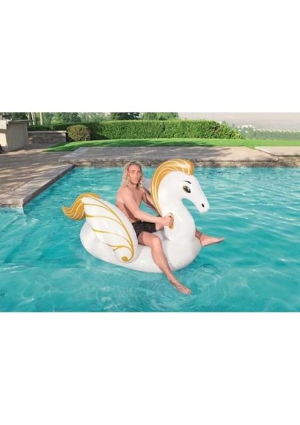 41118 Bi̇ni̇ci̇ Pegasus Si̇mi̇t