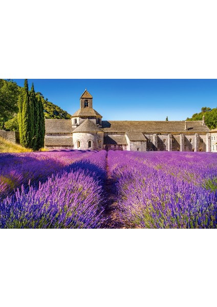 Provence'De Lavanta Tarlası 1000 Parça Puzzle