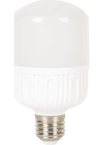 20W Torch LED Ampul 6500K