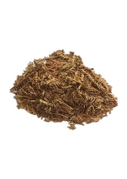 Solucan Otu 50 gr