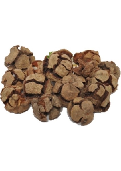 Selvi Kozalağı 50 gr