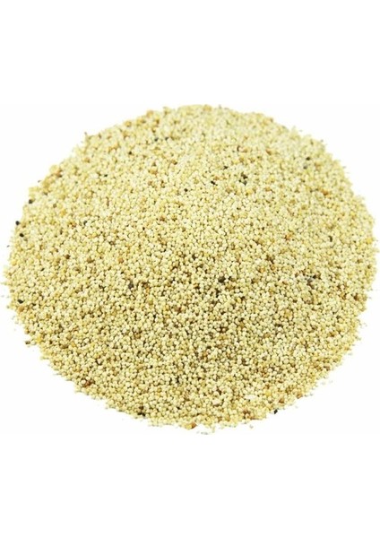 Sarı Haşhaş 100 gr