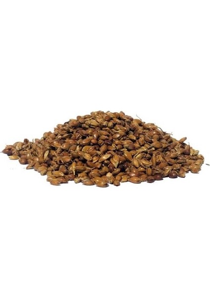Süpürge Otu Tohumu 50 gr