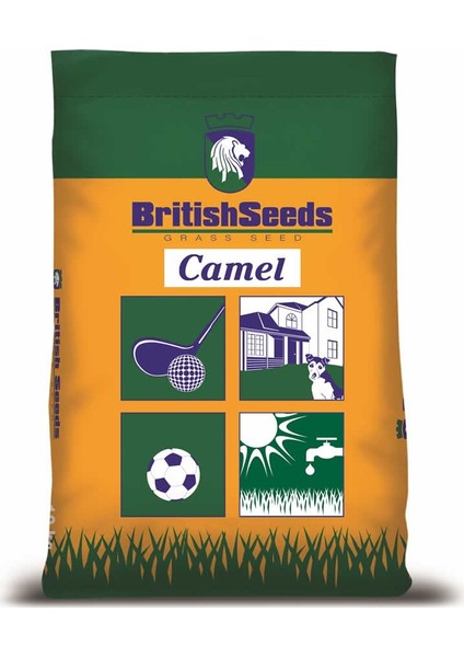 British Seeds Camel Kurak Bölgeler İçin Çim Tohumu - 5 Kg